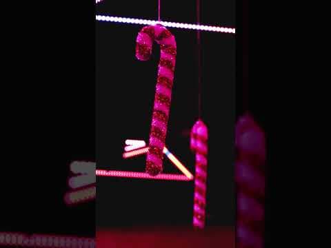 Feiere dein Weihnachtsessen im Sektor 11