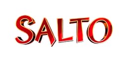 Salto Entertainment AG Logo