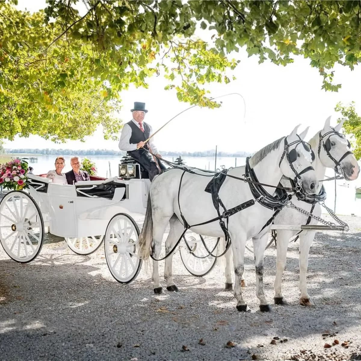 Weisse Hochzeitskusche - Rooswisler