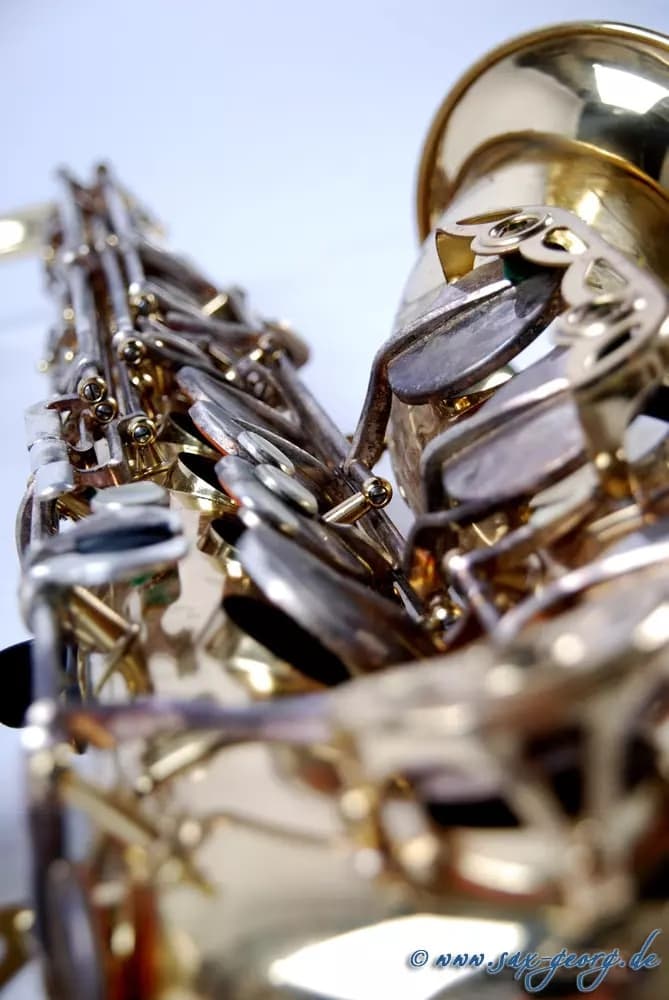 Saxophonist Georg Lehmann 3