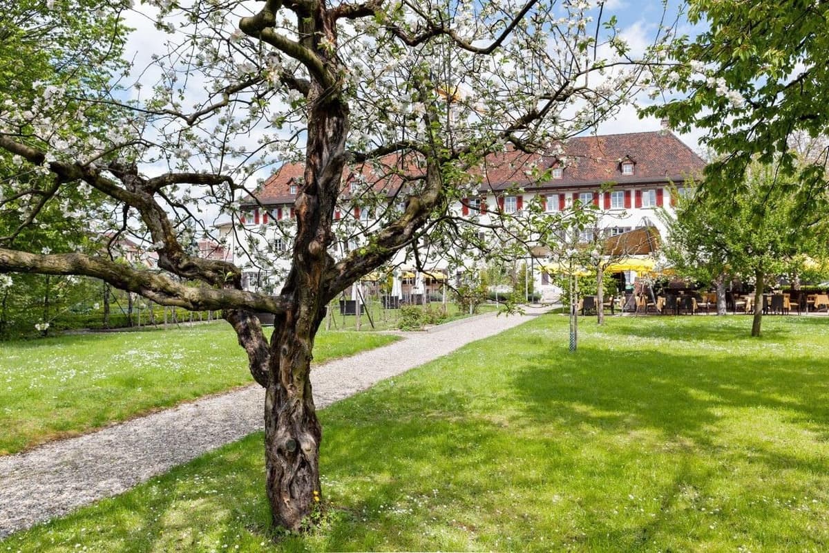 Kloster Dornach 7