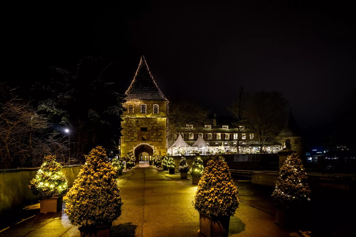 Schloss Laufen am Rheinfall 3