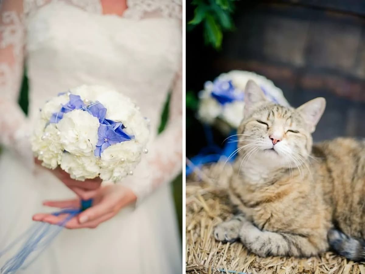 Die Hochzeitsfotografen 9