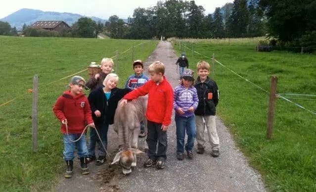 Titelbild