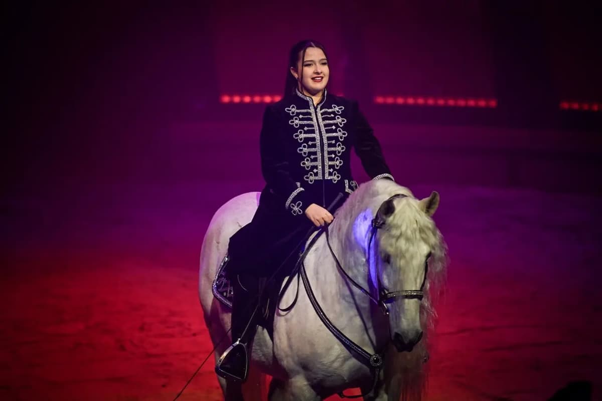 Gebrüder Knie - Schweizer National-Circus AG 5