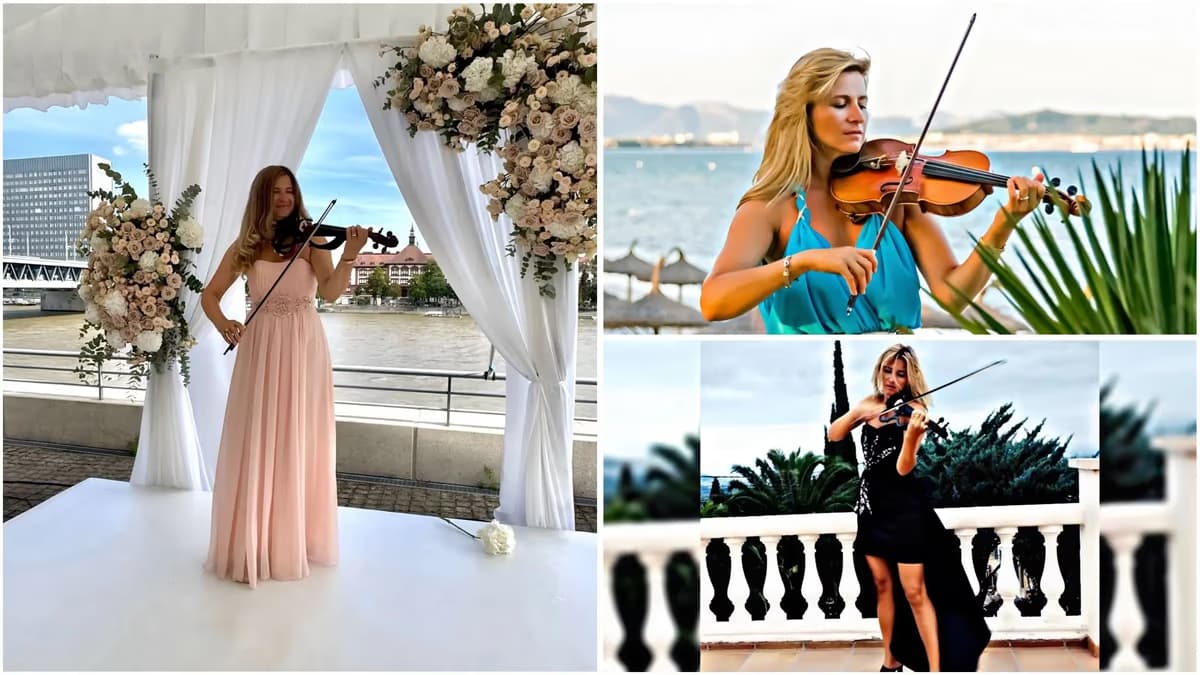 violin.best