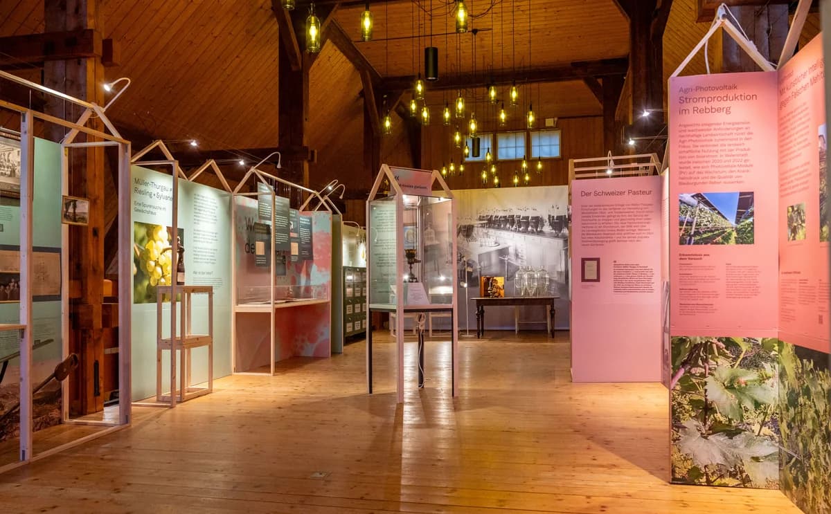 Weinbaumuseum am Zürichsee 7
