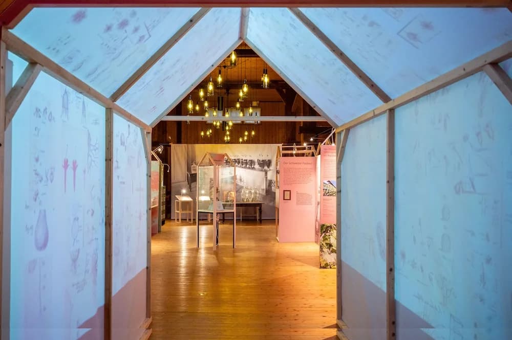 Weinbaumuseum am Zürichsee 8