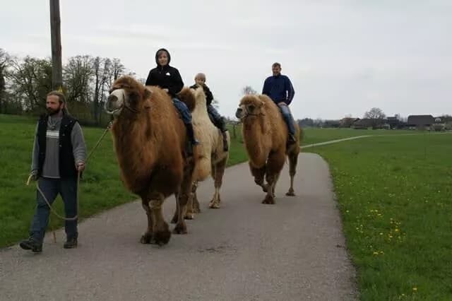 Titelbild