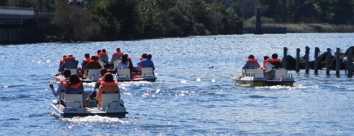 Schifffahrtsbetrieb Hensa AG 4