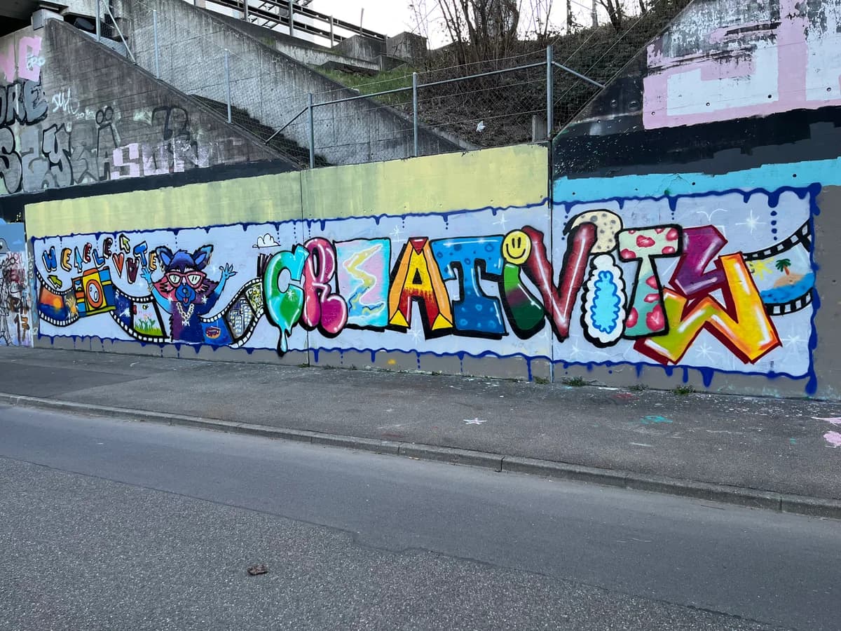 Rayo Fernandez 2
