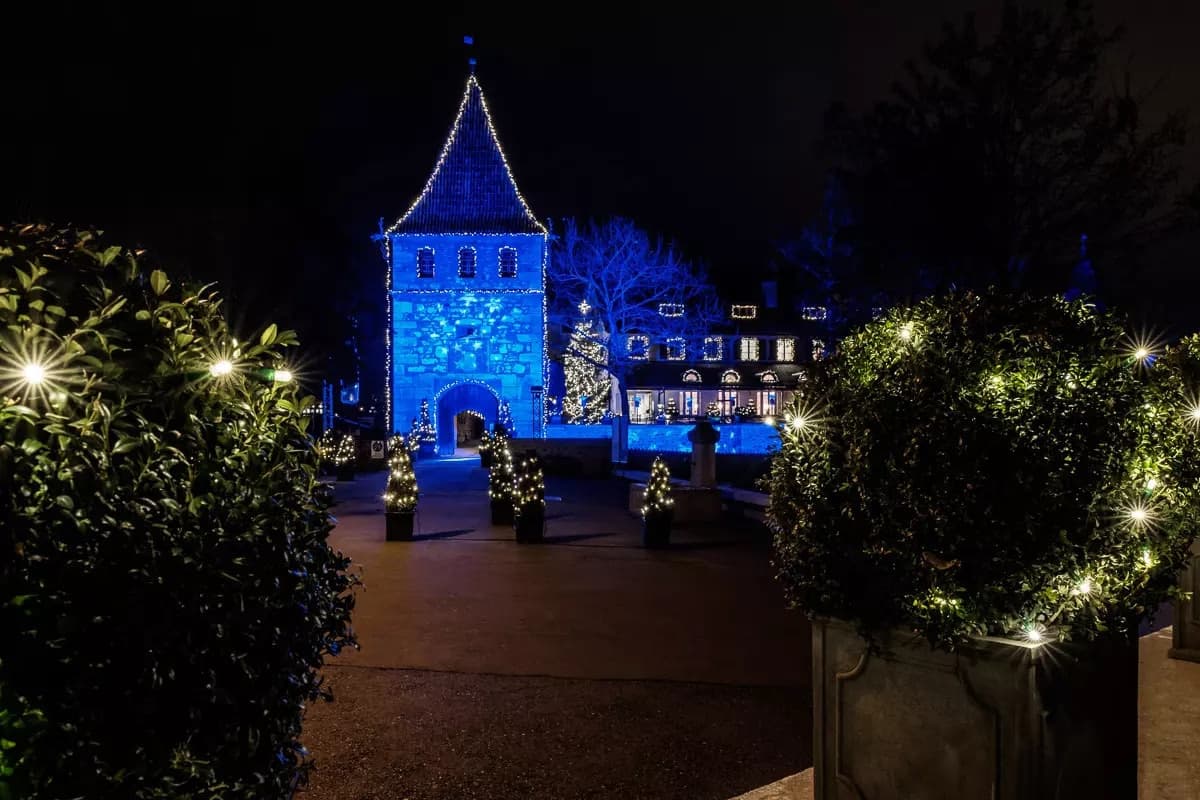 Schloss Laufen am Rheinfal 3