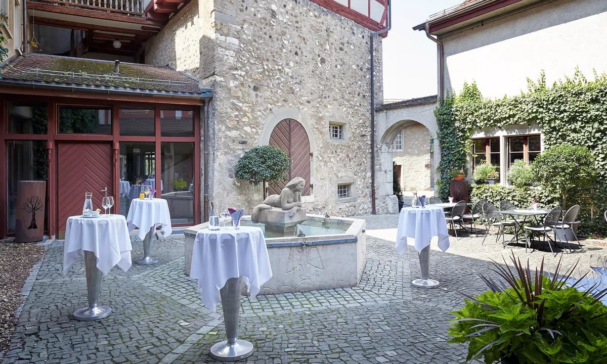 Schloss Laufen am Rheinfal 10