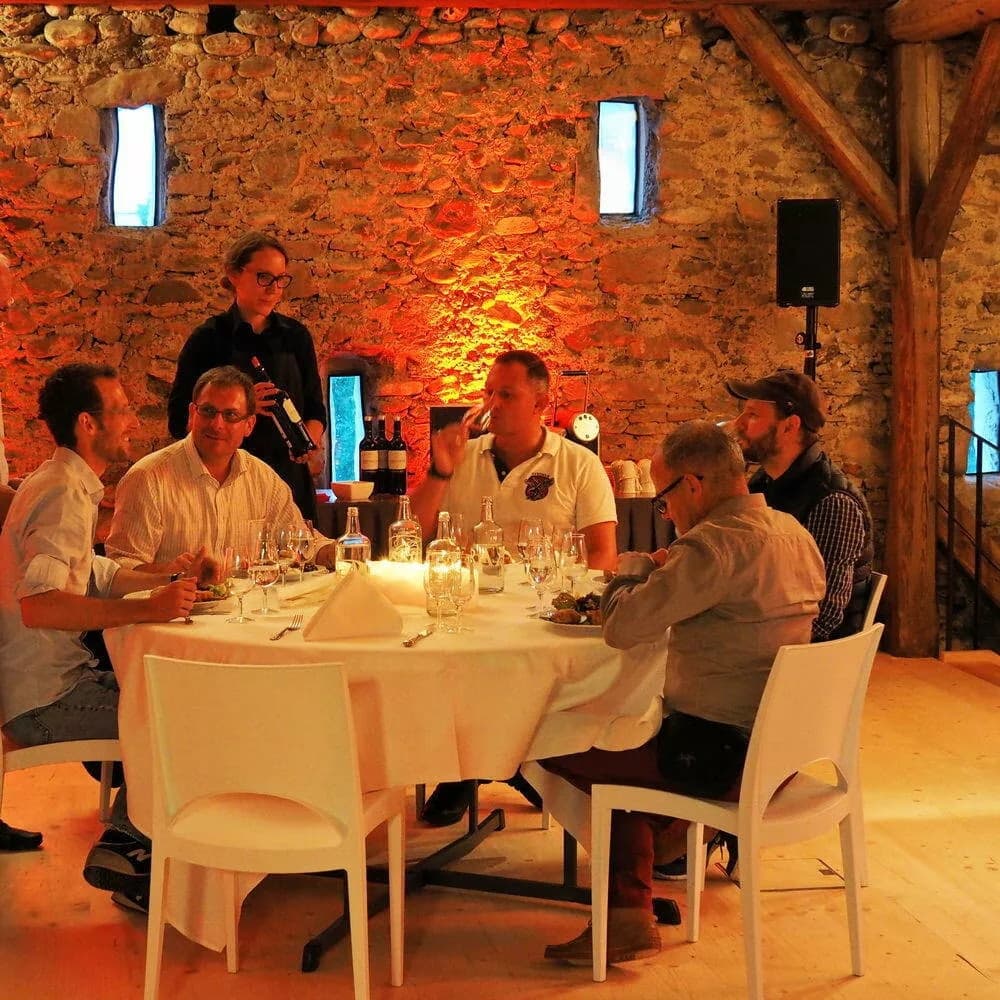 Maiergrill AG 7