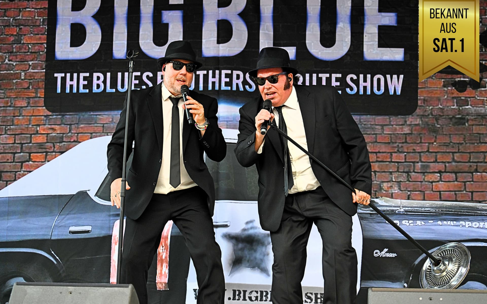 The Blues Brothers Show - Big Blue on stage