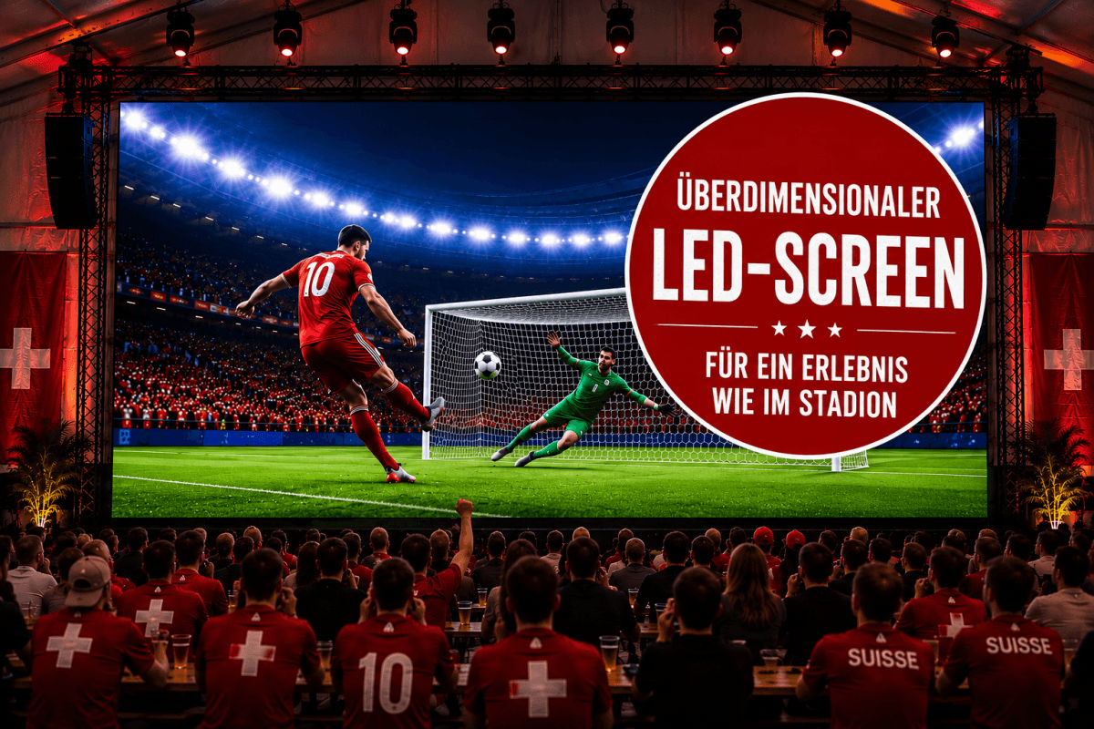 DorfArena Merenschwand - FIFA WM live