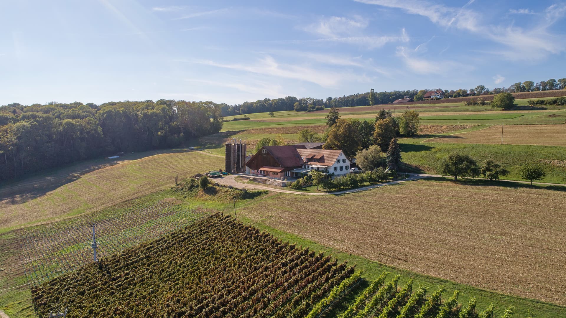 Wilchinger Bergwy, Celebrating in the Countryside
