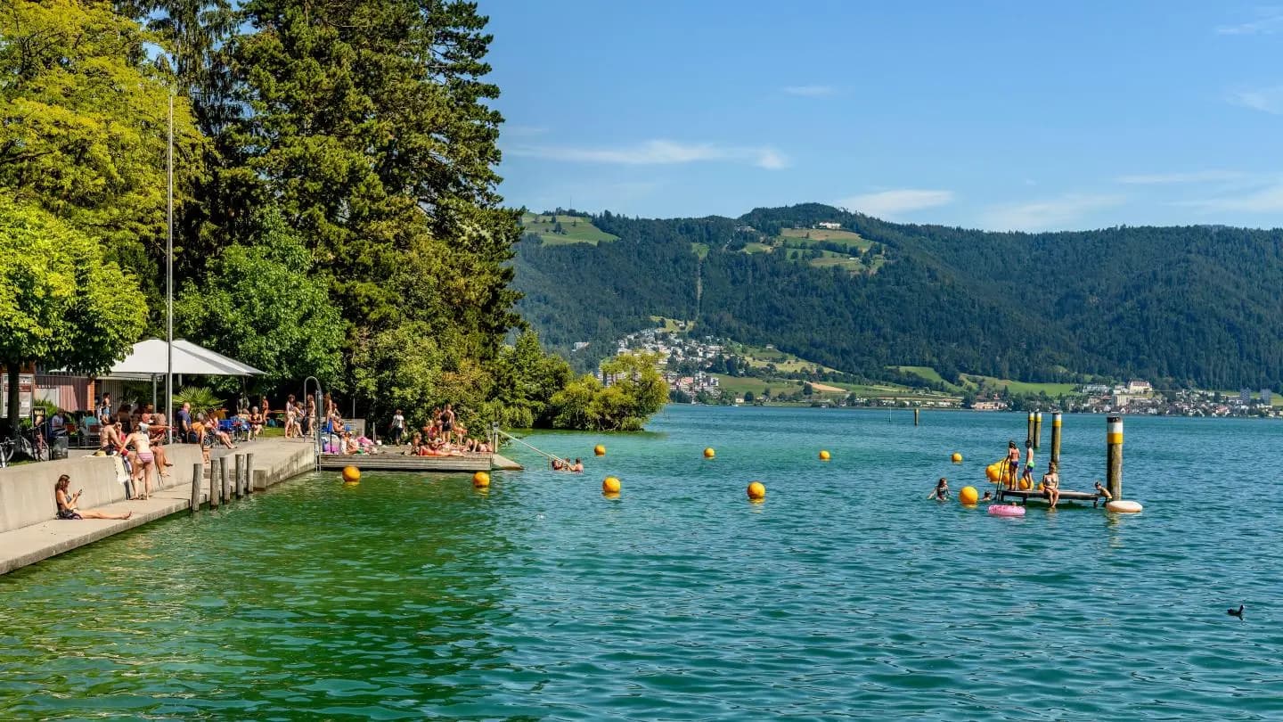 Seebad Hirsgarten Cham - Retransmission Publique Coupe du Monde 2026